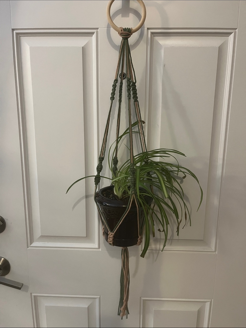 Handmade Olive Green and Beige Macrame Plant Hanger with Wooden Ring.